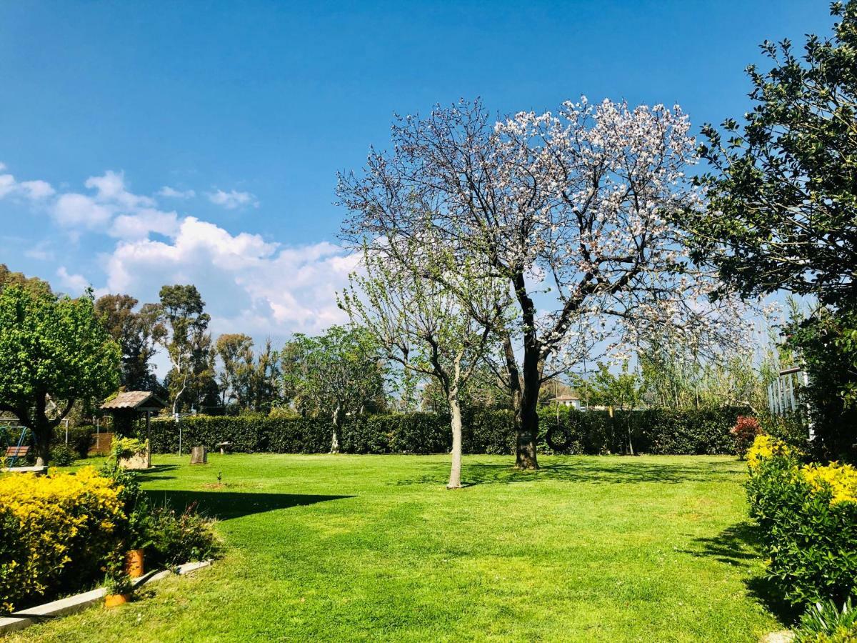 Oasi di Francesca B&B Pontinia Esterno foto